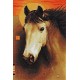 Horse SG509 - Cross Stitch Kit by Luca-s