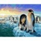 Tapyba Pagal Skaičius: "Arktiniai pingvinai"
