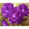 Tapyba Pagal Skaičius: "Violetinės gėlės"
