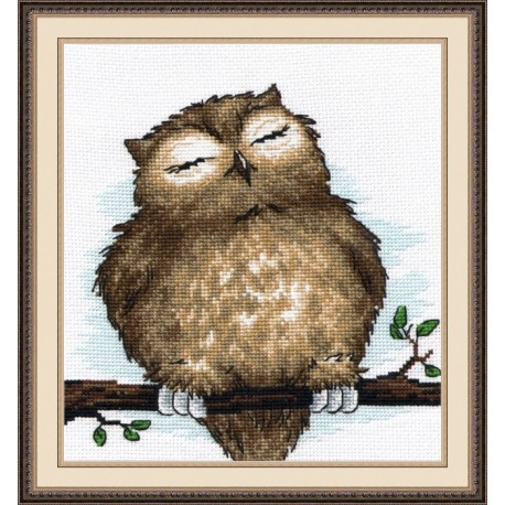 Owl Dream S729