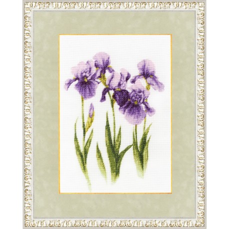 Water-color Irises S/BR017
