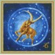 Zodiac Sign - Capricorn S/RT058