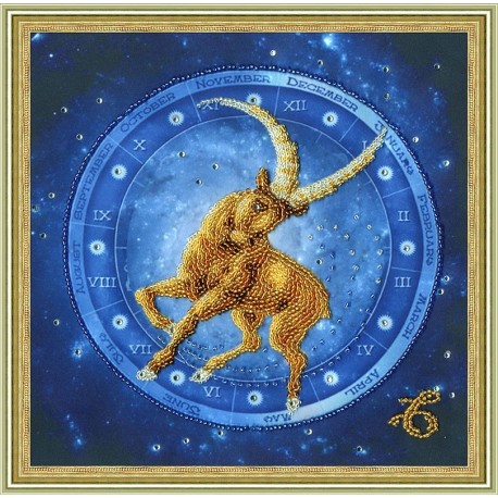 Zodiac Sign - Capricorn S/RT058
