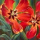 Diamond painting Tulips AZ-1128 Size: 40х40