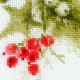 Poinsettia siuvinėjimo rinkinys iš RIOLIS Nr.: 1729