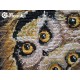 Owls SK32 cross stitch kit by Merejka