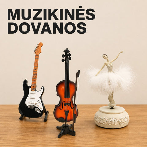 Muzikinės dovanos kategorijos banneris