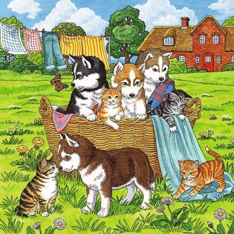 Ravensburger 3 dėlionės „Katės ir šunys“, 3×49 det., nuo 5 m.