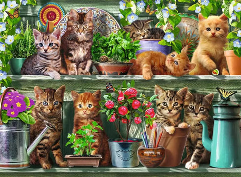 Ravensburger dėlionė „Kačiukai lentynoje“, 500 det.