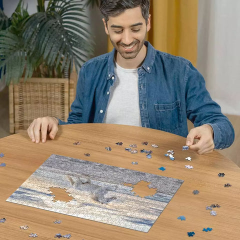 Ravensburger dėlionė „Vakarinis šuoliavimas“, 500 det.