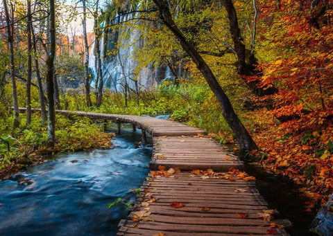 Ravensburger dėlionė „Rudens takas miške“, 1000 det.