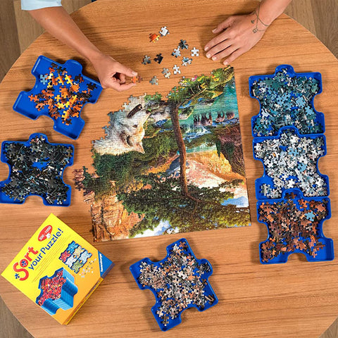 Dėlionių rūšiavimo dėžučių rinkinys „Sort Your Puzzle!“