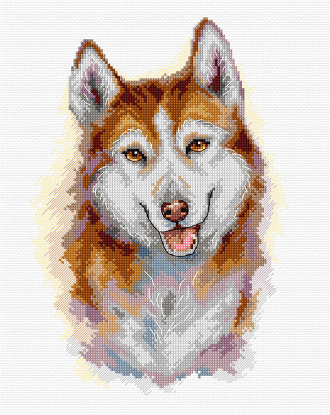 Husky siuvinėjimo kryželiu rinkinys, Aida 16 ct, DMC siūlai, 17x25 cm