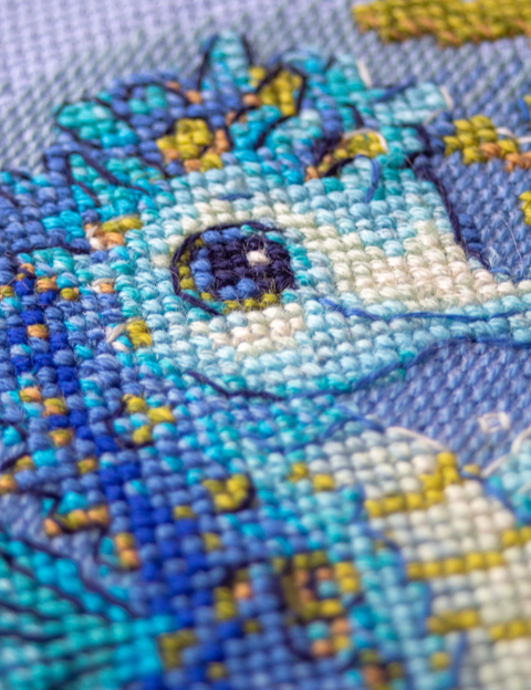 Jūrų arkliuko siuvinėjimo kryželiu rinkinys su 14 ct Aida (15×15 cm)