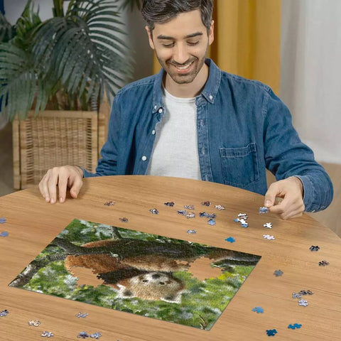 Ravensburger dėlionė „Raudonoji panda“, 500 det.