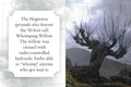 Knygos iliustracija Whomping Willow: 15 metrų aukščio vingiuotas medžio kamienas, vėjyje krentantys rudeniški lapai ir grėsminga atmosfera