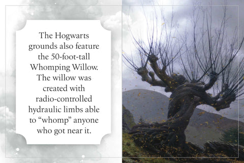 Knygos iliustracija Whomping Willow: 15 metrų aukščio vingiuotas medžio kamienas, vėjyje krentantys rudeniški lapai ir grėsminga atmosfera
