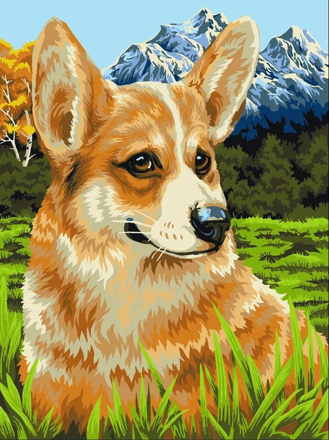 Tapybos pagal skaičius rinkinys: artimas raudono korgio portretas su kalnų fone, detalus užpildomas variantas 40x50 cm