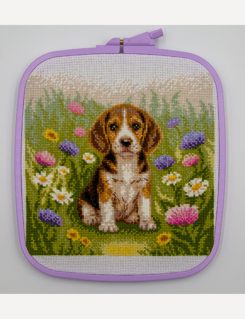 Siuvinėjimo kryželiu rinkinys „Meadow Pup“ – bigliukas pievoje, 20 x 20 cm