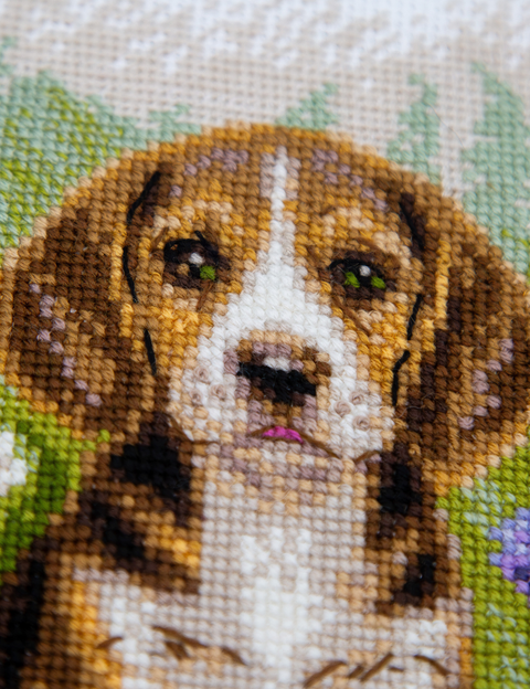 Siuvinėjimo kryželiu rinkinys „Meadow Pup“ – bigliukas pievoje, 20 x 20 cm