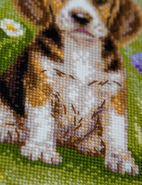 Siuvinėjimo kryželiu rinkinys „Meadow Pup“ – bigliukas pievoje, 20 x 20 cm