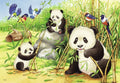 2X24 Puzzles: Sweet Koalas and Pandas - RAVENSBURGER dėlionėHOBI.LT 🇱🇹