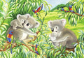 2X24 Puzzles: Sweet Koalas and Pandas - RAVENSBURGER dėlionėHOBI.LT 🇱🇹