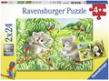 2X24 Puzzles: Sweet Koalas and Pandas - RAVENSBURGER dėlionėHOBI.LT 🇱🇹