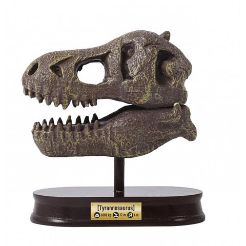 T-Rex dinozauro kaukolės kasinėjimo rinkinys vaikams 8+ su įrankiais