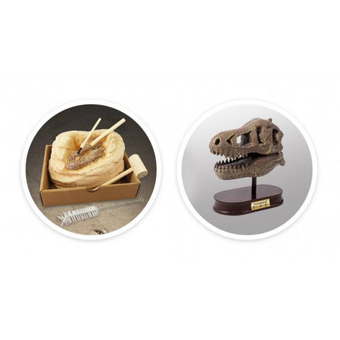 T-Rex dinozauro kaukolės kasinėjimo rinkinys vaikams 8+ su įrankiais