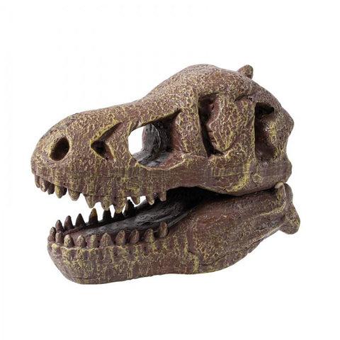 T-Rex dinozauro kaukolės kasinėjimo rinkinys vaikams 8+ su įrankiais