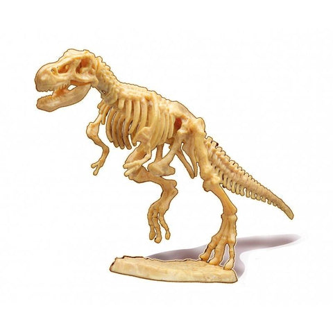 T-Rex griaučių kasinėjimo rinkinys 20 cm su tikra fosilija vaikams 8+