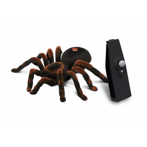 Nuotoliniu būdu valdoma tarantula su pulteliu – realistiškas voras Buki France