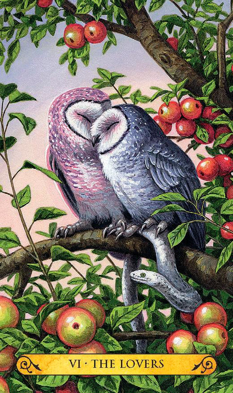 Llewellyn Tarot of the Owls mini tarot kortos – pelėdų išmintis