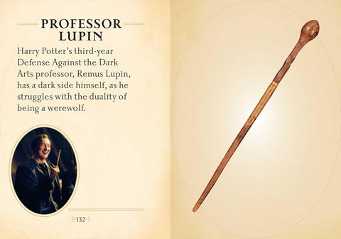 Harry Potter mini lazdelių knyga – iliustruotas kolekcinis vadovas