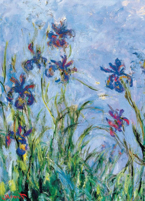Claude Monet „Irisai“ dėlionė 1000 detalių – muziejinė kokybė