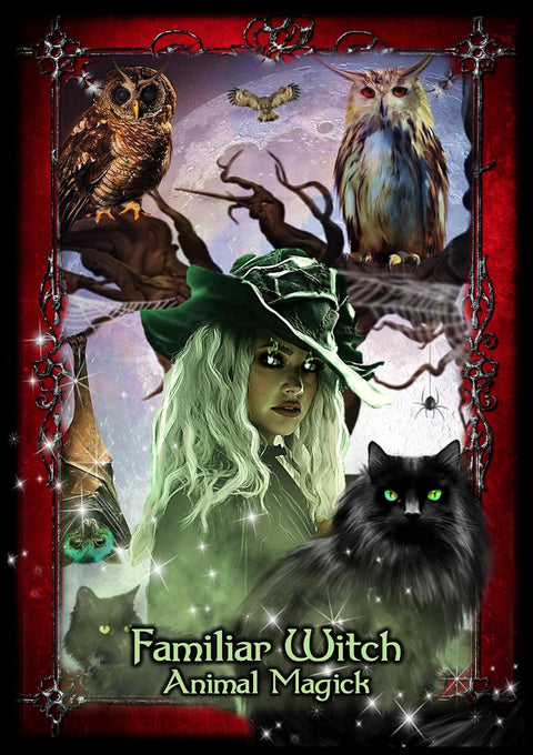 Witches of the Craft orakulo kortos – Solarus, 48 vnt., būrimams