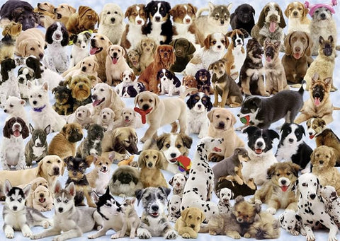 Ravensburger 1000 Puzzle Dėlionė: Dogs Galore!