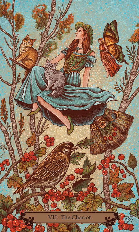 Hedgewitch taro kortos raganoms – Llewellyn, 78 kortų su vadovu