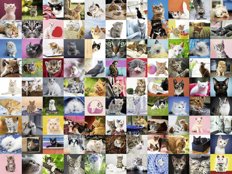 Ravensburger dėlionė „99 katės“, 1500 det.