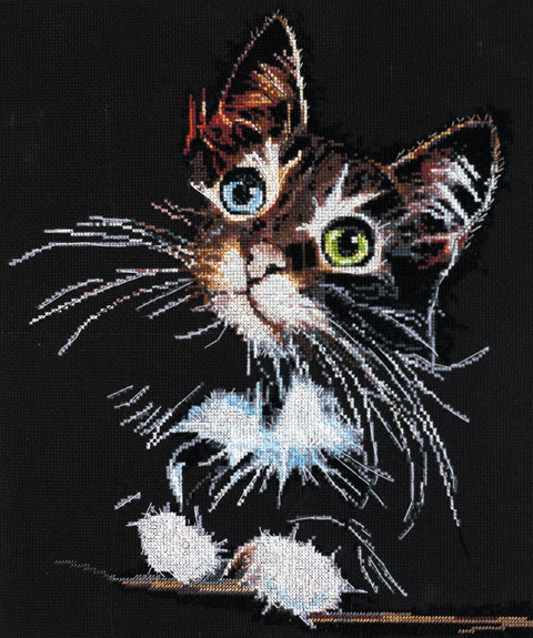 Siuvinėjimo kryželiu rinkinys Pūkuotas kačiukas, 14 ct, 30x35 cm, 24 spalvų