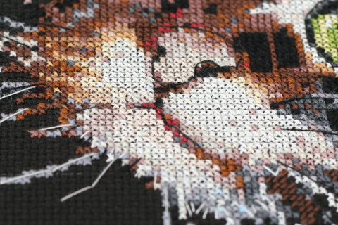 Siuvinėjimo kryželiu rinkinys Pūkuotas kačiukas, 14 ct, 30x35 cm, 24 spalvų