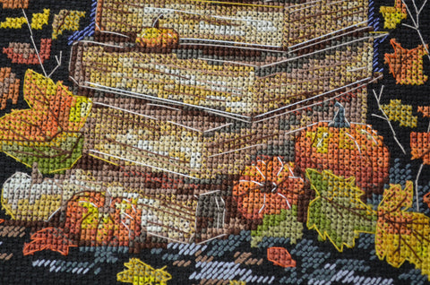 Siuvinėjimo kryželiu rinkinys „Magiški puslapiai“, juodas fonas 18x26