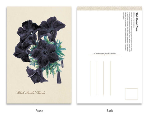 The Goth Garden: Dark Blooms – 50 gotikinių botaninių atvirukų rinkinys