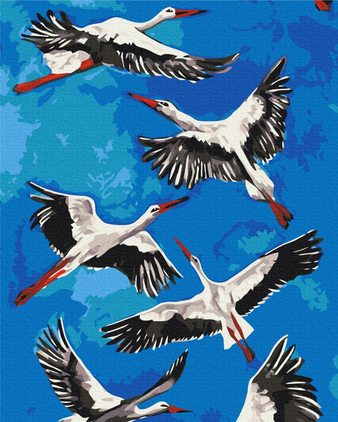 Tapybos rinkinys "Storks"