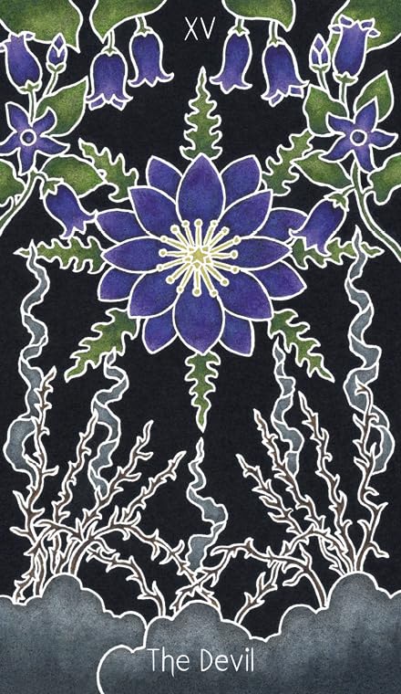 Animystic Tarot: 78 kortų kaladė su vadovu – gamtos magijos įkvėpta