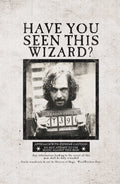 sieninis plakatas juodai baltas, vintage stiliaus "Have You Seen This Wizard?" persekiojamo burtininko mugshotas, visas priekis