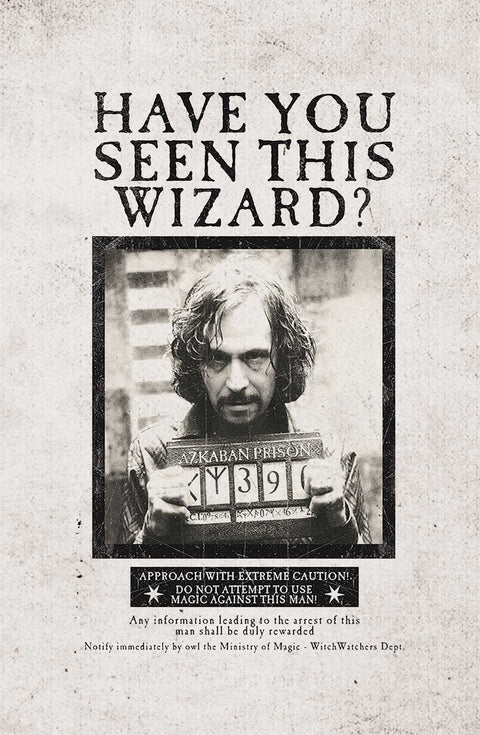 sieninis plakatas juodai baltas, vintage stiliaus "Have You Seen This Wizard?" persekiojamo burtininko mugshotas, visas priekis