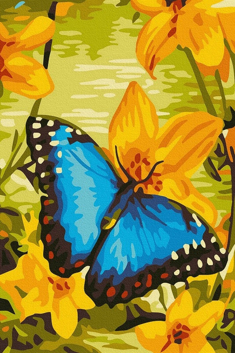 Tapybos rinkinys "Summer butterfly"