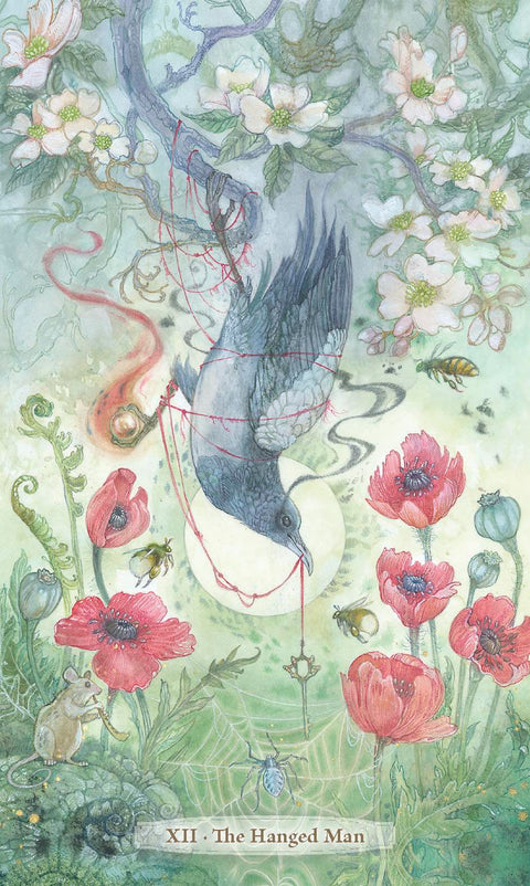 Verdance Tarot kortos – gamtos magija ir intuicijos galia